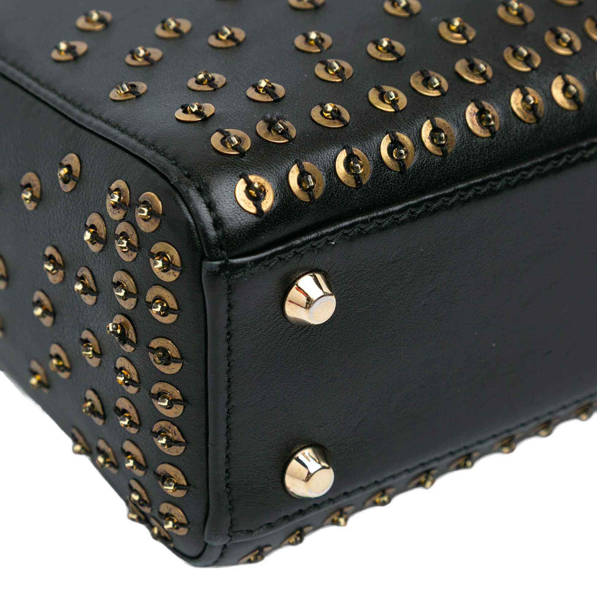 Mini Calfskin Embellished Lady Dior - Heritage Fashion